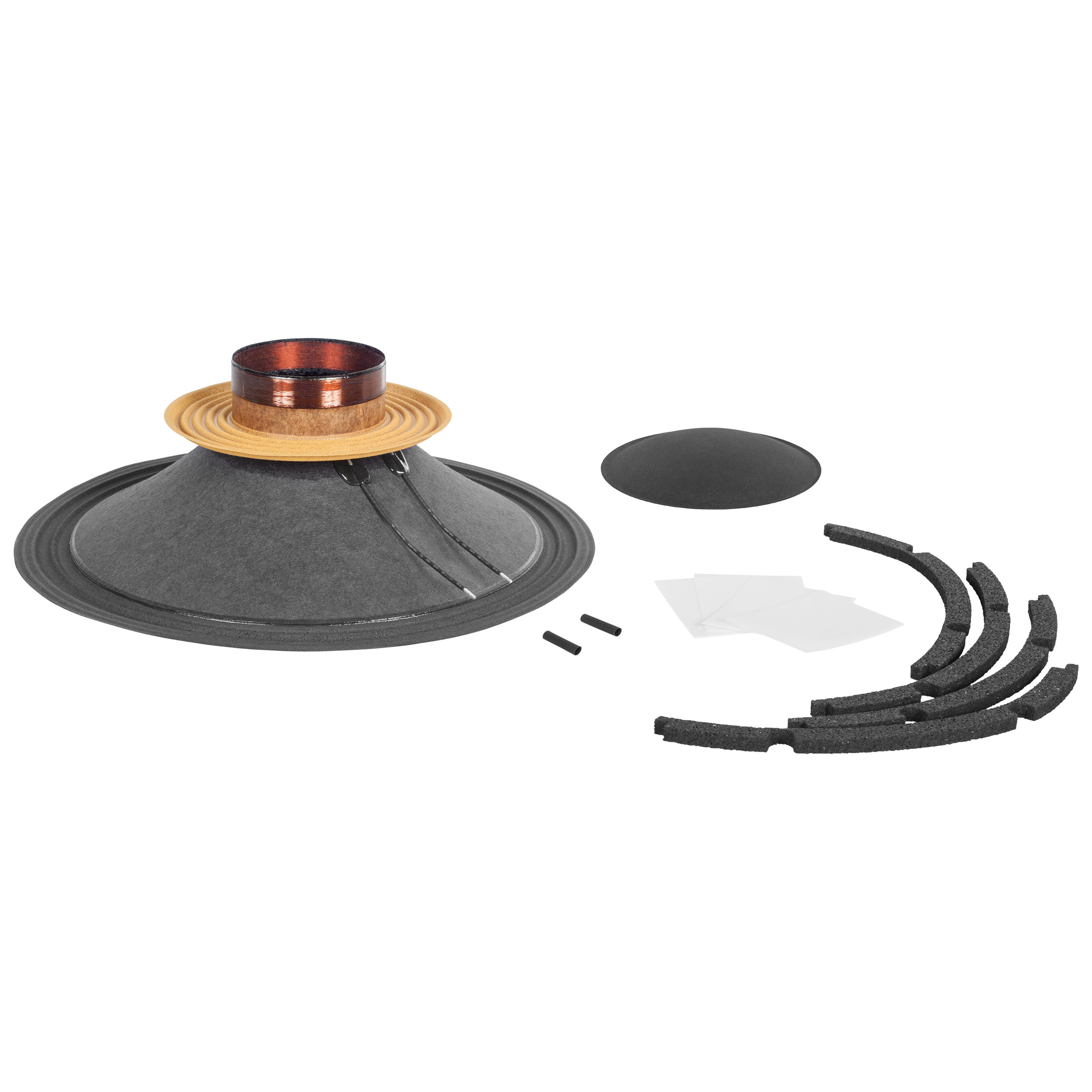 B&C Speakers | 10NDL64 16 Ohm Recone Kit